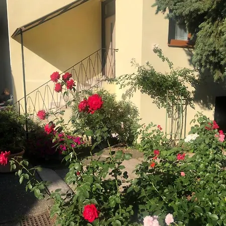 Das Kleine Haus Breitenbrunn  Exterior photo