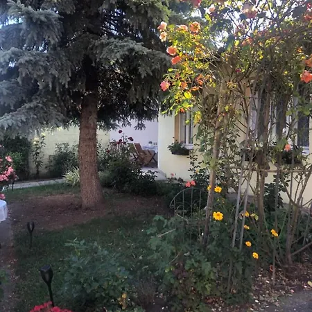 Das Kleine Haus Breitenbrunn  Exterior photo