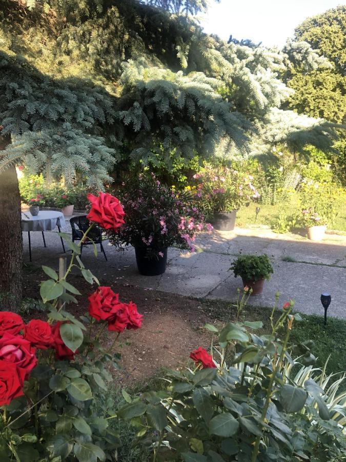 Kleine Haus Holiday home