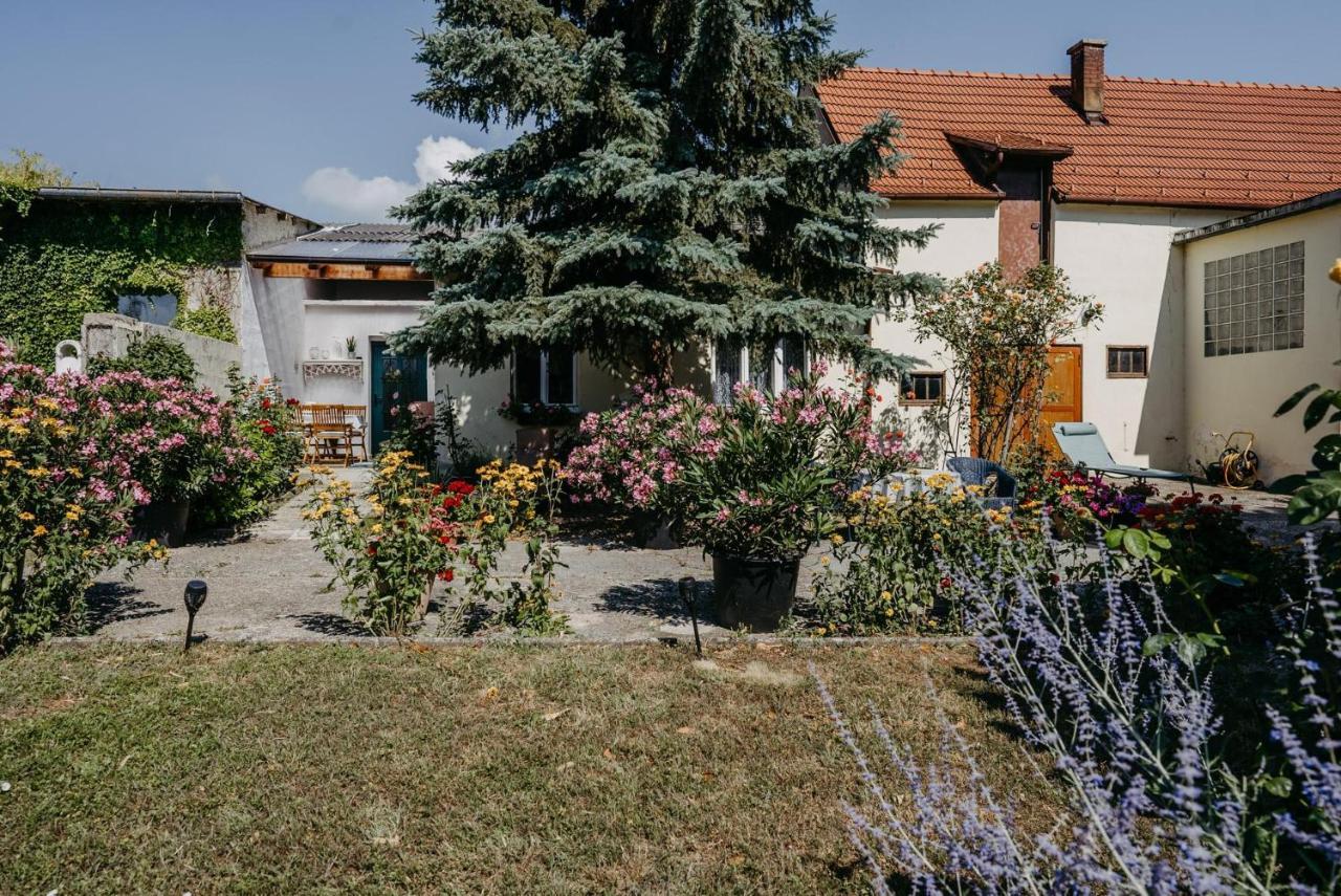 Holiday home Kleine Haus